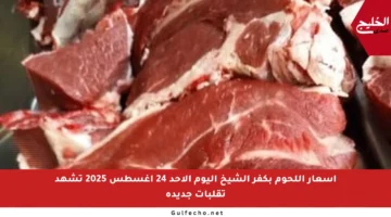 أسعار اللحوم بكفر الشيخ اليوم الأحد 24 أغسطس 2025 تشهد تقلبات جديدة
